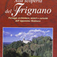 Alla scoperta del Frignano. Paesaggi e architetture, misteri e curiosità dell'appennino modenese,  Mario B. Lugari, Franco Cosimo Panini Editore, 2005 e-collecta