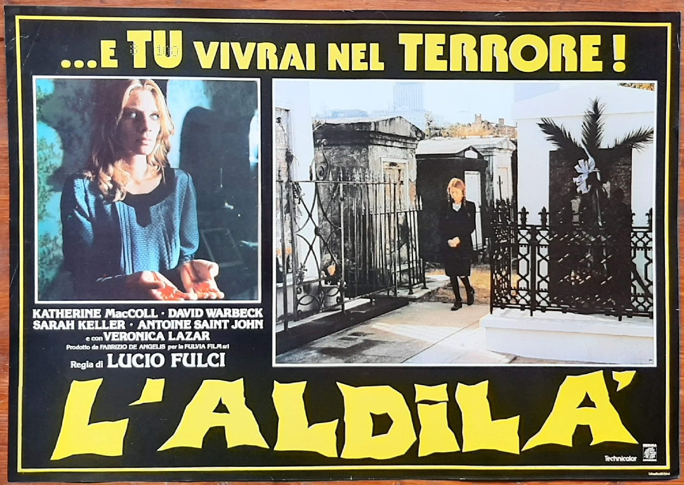 E tu vivrai nel terrore! L'aldilà, 1981, Lucio Fulci con Catriona MacColl, David Warbeck, Cinzia Monreale e-collecta